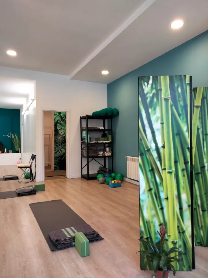 Hamsa Centro De Yoga Y Mindfulness — yoga-studio en Salamanca, Madrid — 2