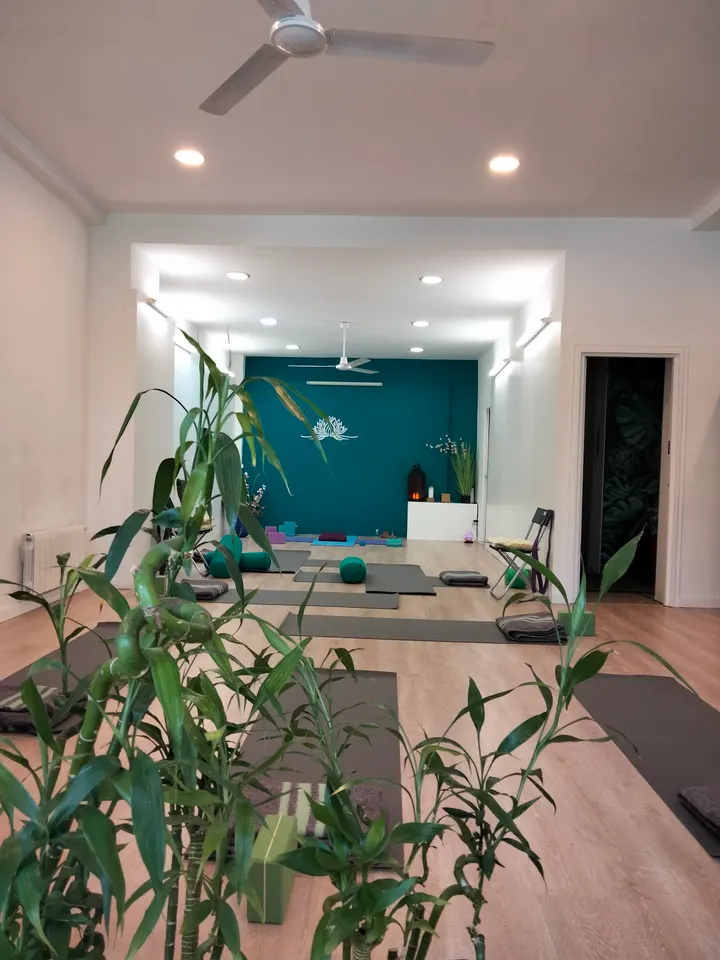 Hamsa Centro De Yoga Y Mindfulness — yoga-studio en Salamanca, Madrid — 3