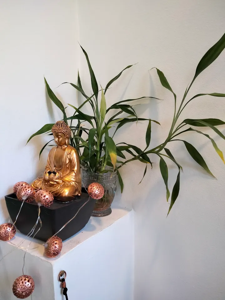 Hamsa Centro De Yoga Y Mindfulness — yoga-studio en Madrid — 4