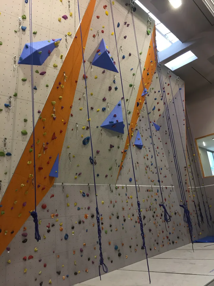 BOU’D'BROUSSE — escalade-studio à Lille — 3