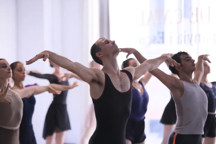 Ballet de Catalunya | Companyia i Escola Oficial — baile-studio en Centre, Terrassa — 3