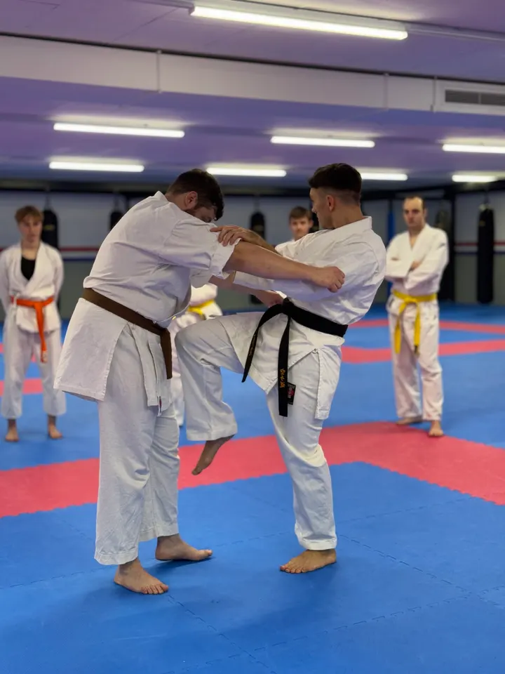 Kampfgeist Dojo — kampfsport-studio in Sankt Georgen Nord, Freiburg im Breisgau — 3