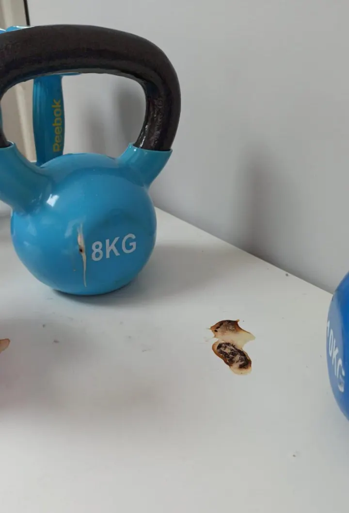 FitnessLife Guadalajara — estudio de fitness-studio en Guadalajara — 5