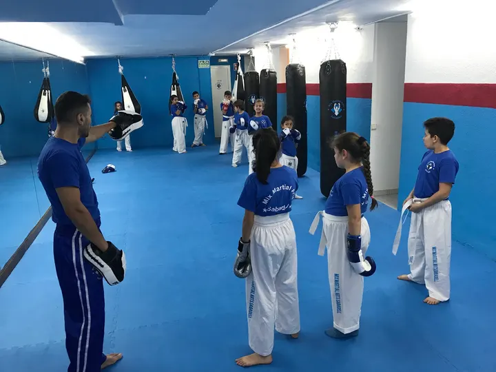 Mix Martial Arts Sabadell — artes marciales-studio en Sabadell — 3