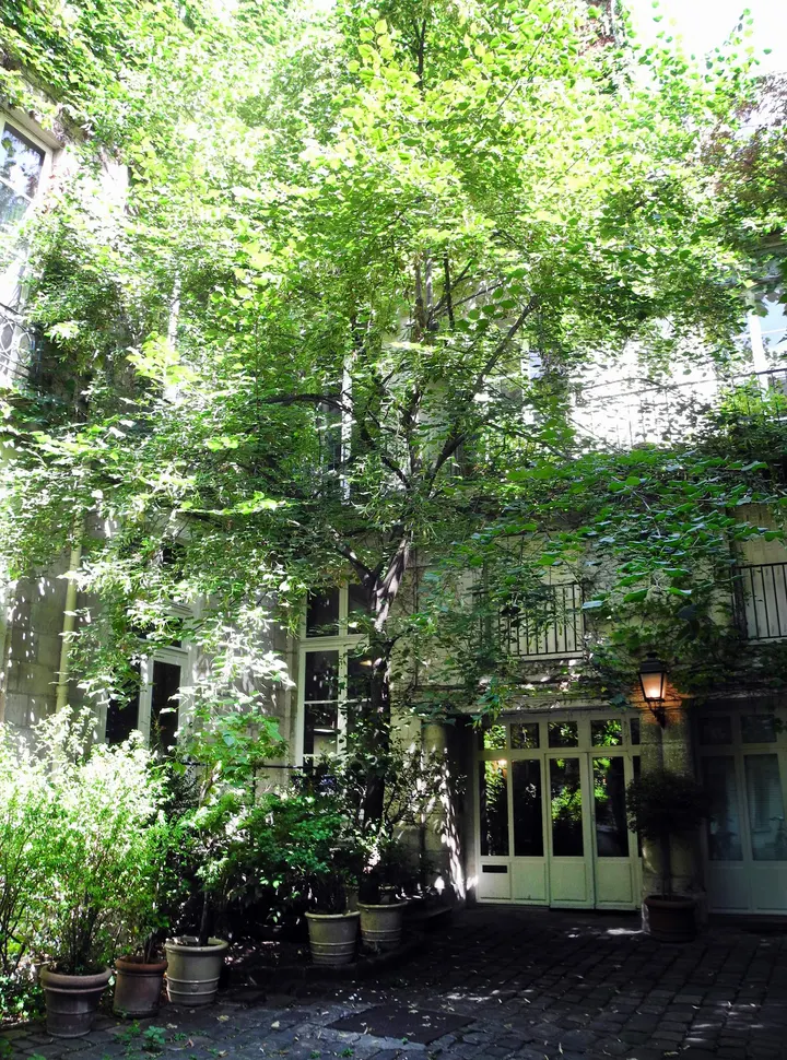 École Française de Yoga — yoga-studio à Paris 4e Arrondissement, Paris — 2
