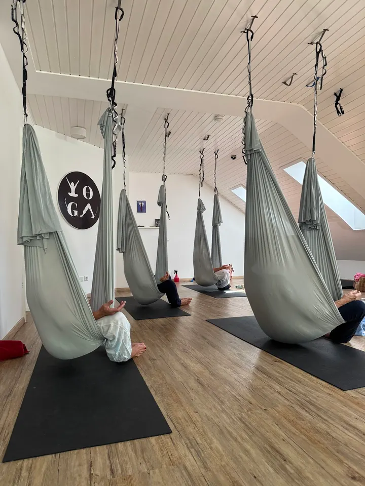 FLYoga, Körper & Energie-Zentrum — Yoga in Handschuhsheim, Heidelberg