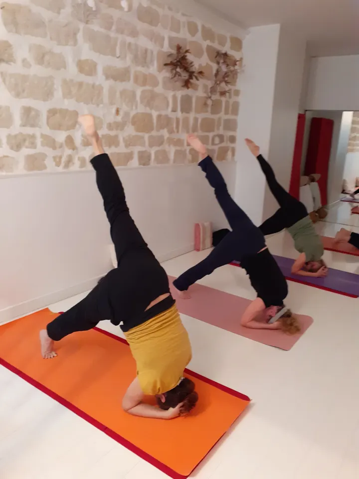 Manfred Yoga — Yoga à Paris 17e Arrondissement, Paris