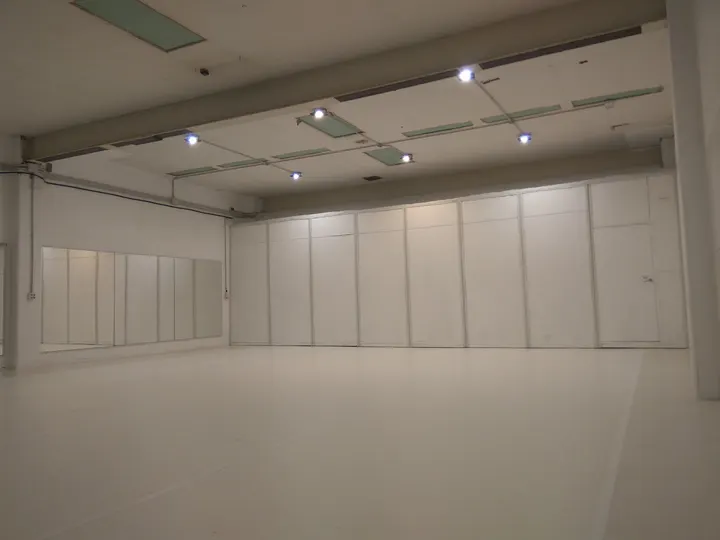 Sa Nau, dansa i altres arts — Baile en Sant Martí, Barcelona