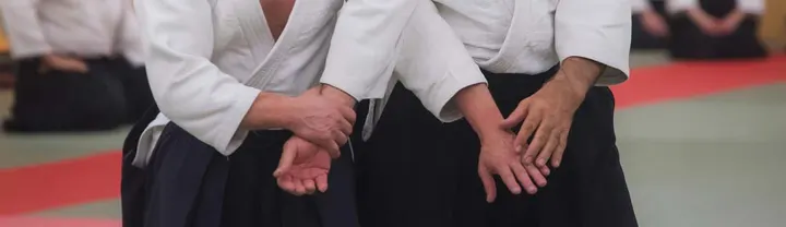 Unsui Dojo Wado Ryu Confluence — arts martiaux-studio à Lyon 2e Arrondissement, Lyon — 2