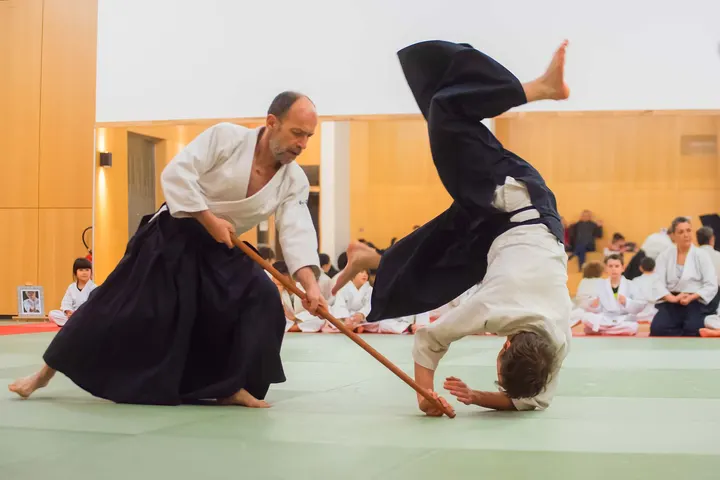 Unsui Dojo Wado Ryu Confluence — arts martiaux-studio à Lyon 2e Arrondissement, Lyon — 3