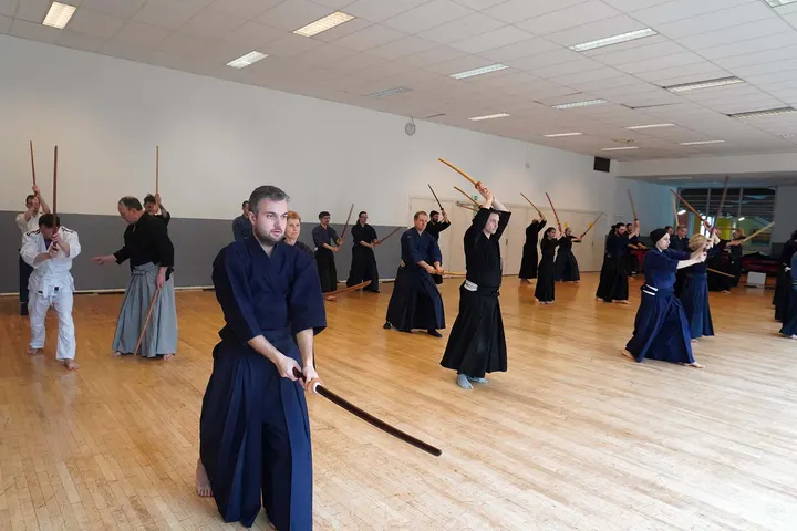 Unsui Dojo Wado Ryu Confluence — arts martiaux-studio à Lyon — 3