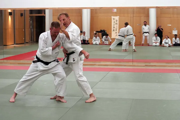 Unsui Dojo Wado Ryu Confluence — arts martiaux-studio à Lyon — 4