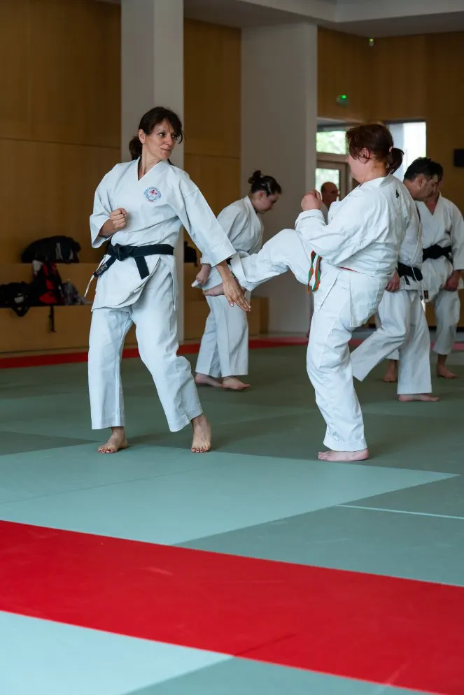 Unsui Dojo Wado Ryu Confluence — arts martiaux-studio à Lyon — 5