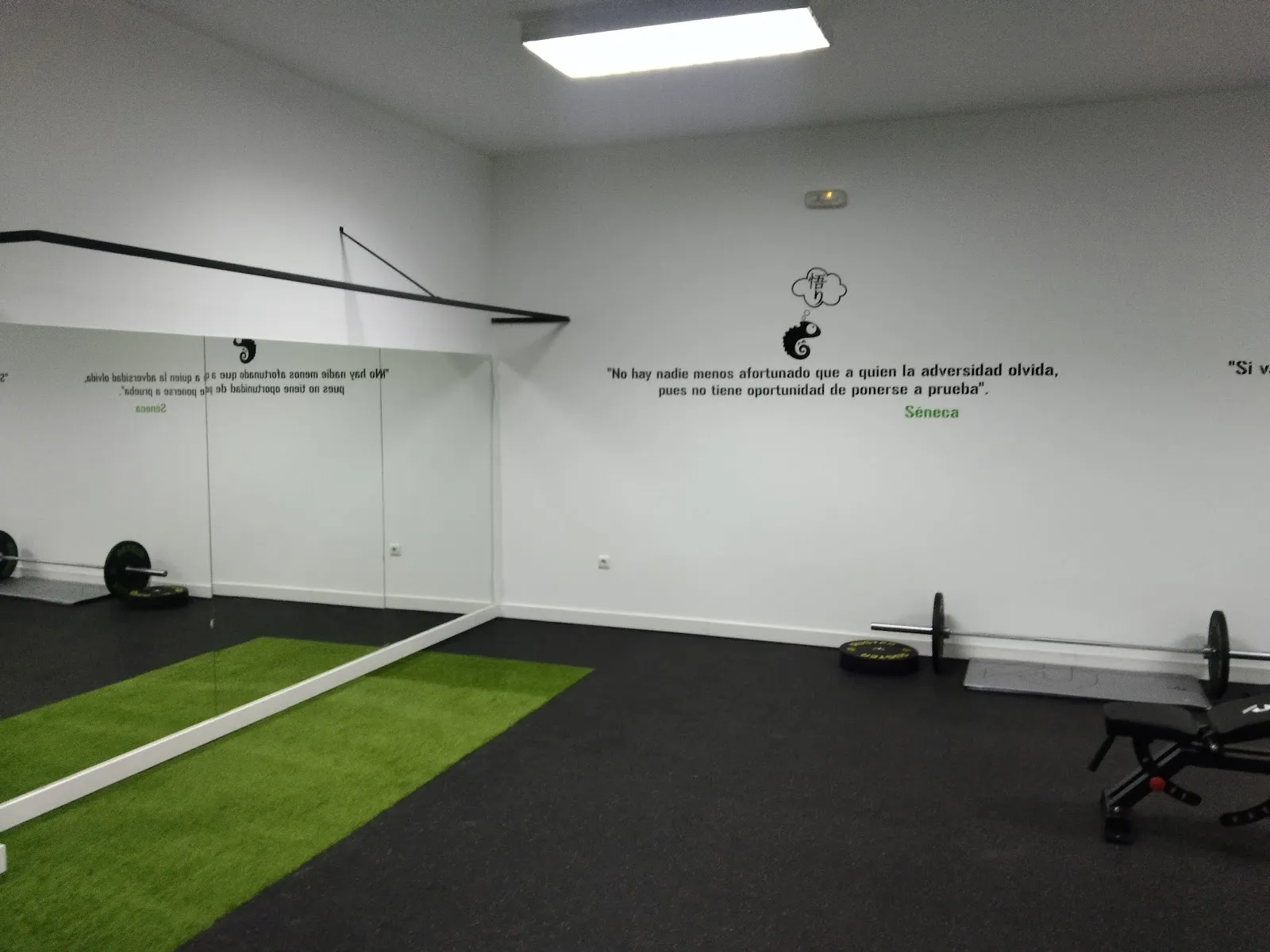 i10 Entrenador Personal - José Pérez Jiménez — entrenamiento personal-studio en Valdepasillas, Badajoz — 3