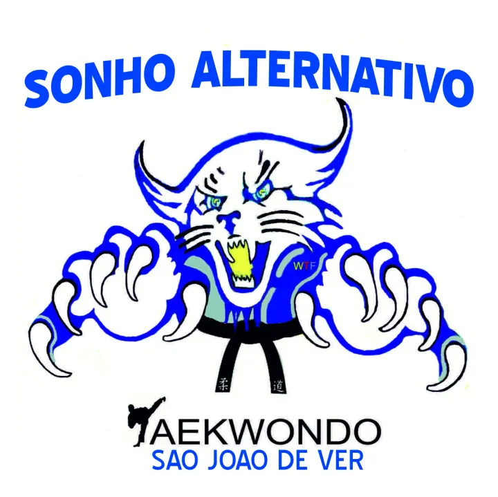 Sonho alternativo club taekwondo — Artes marciais em Beire, Santa Maria da Feira