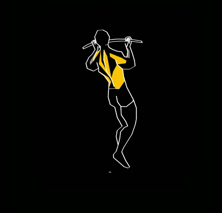 FrameWork Gym — calisthenics-studio in Leidsche Rijn, Utrecht — 2