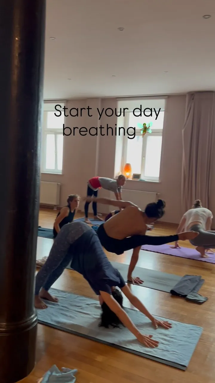Ashtanga Spirit Munich — yoga-studio i München — 3