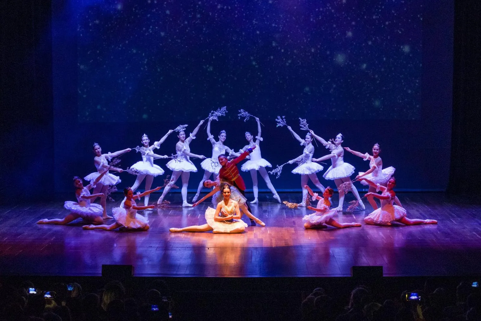 Centro de Danza Piluca — baile-studio en San Claudio, León — 2