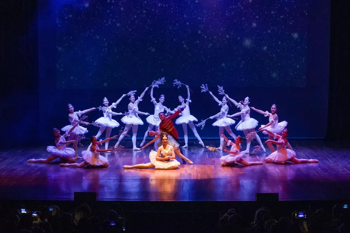 Centro de Danza Piluca — baile-studio en San Claudio, León — 2