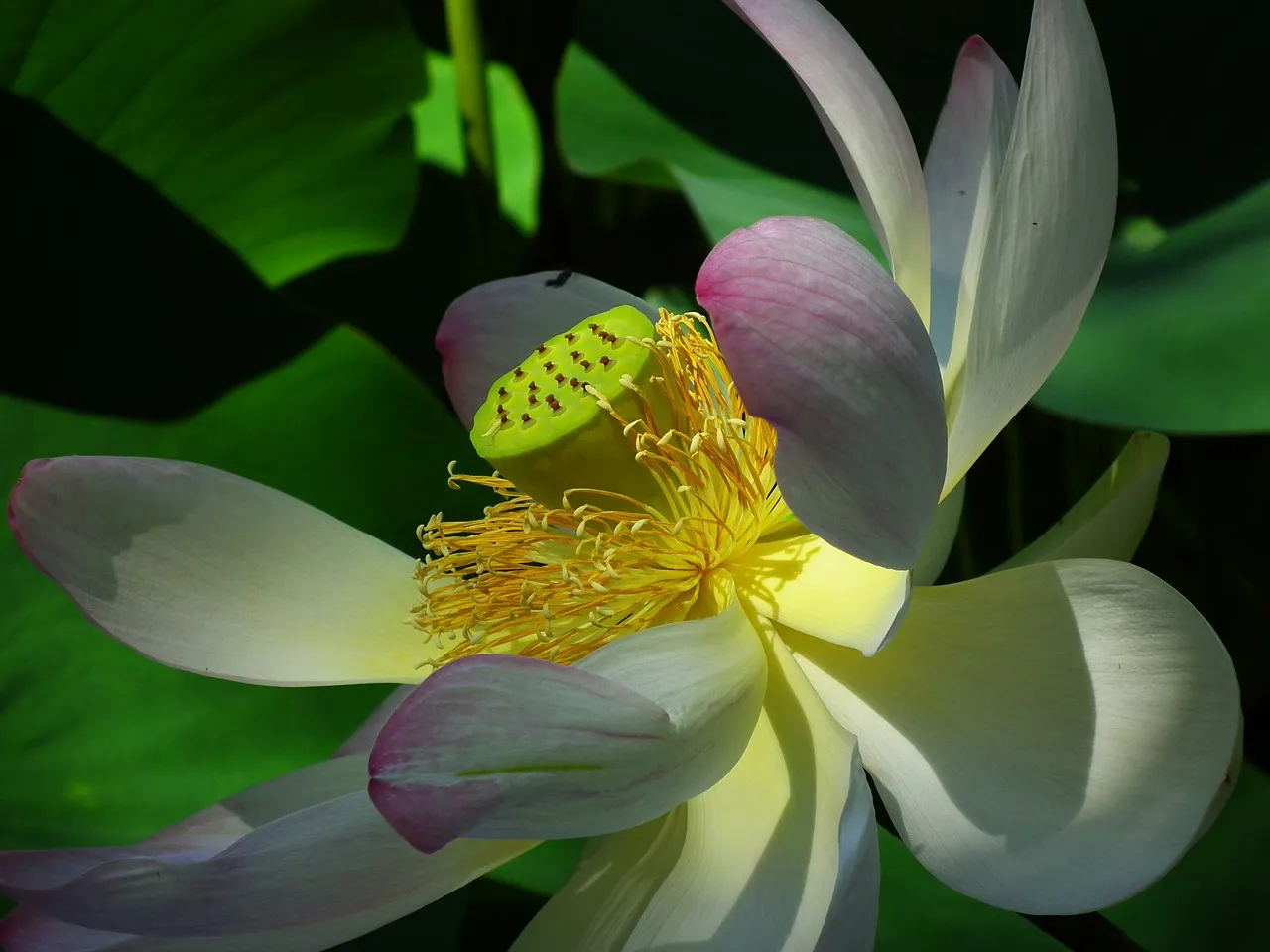 Yoga – Spirit of India — yoga-studio in Hamburg — 3