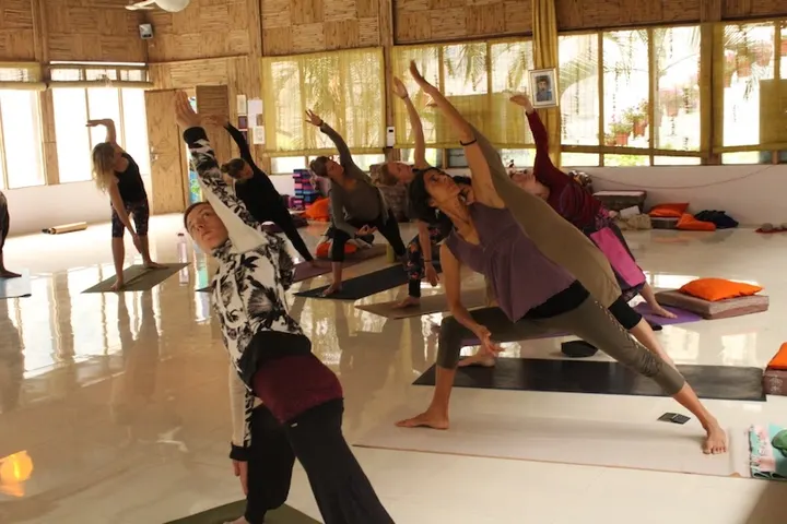 Michelle Levi - Wild Wolf's Yoga — yoga-studio in City Centre, Bristol — 2