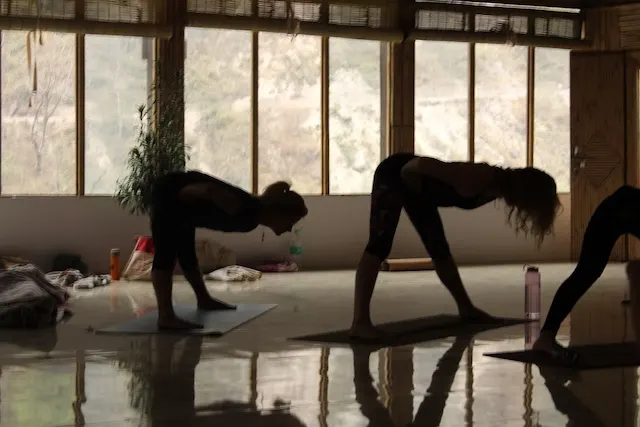 Michelle Levi - Wild Wolf's Yoga — yoga-studio in City Centre, Bristol — 3