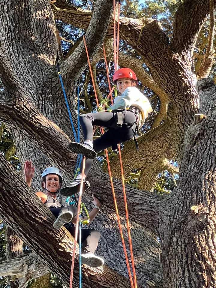 Canopy Tree Climbing — climbing-studio in Gosport — 3