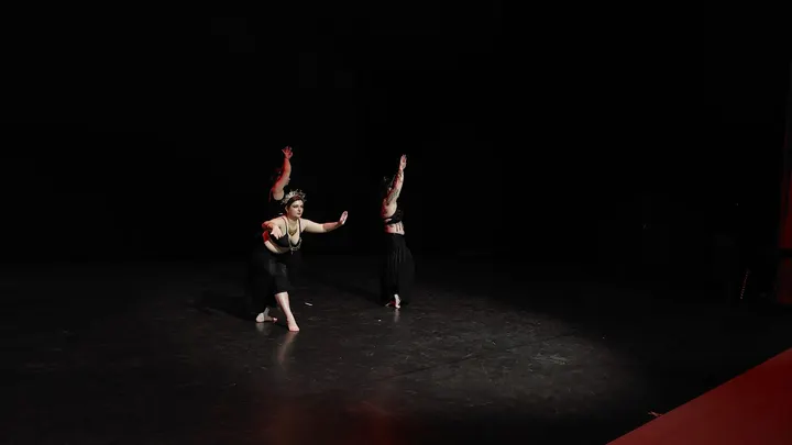 Belly Dance Studio Fanny Delesham — tanssi-studio – Helsinki — 4