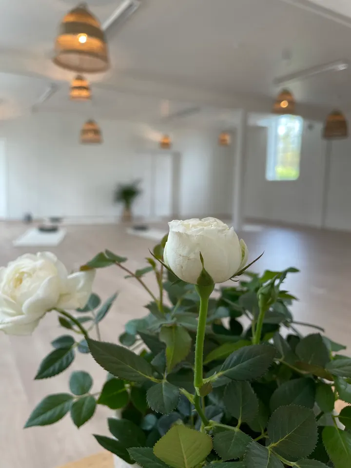Yoga Med Ida Marie Kramer — yoga-studio i Foynland, Duken — 3