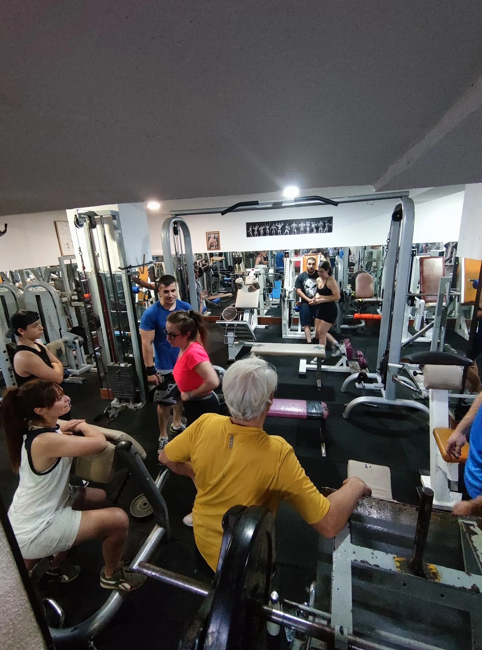 Olympic Gym ll — estudio de fitness-studio en Fuenlabrada — 5