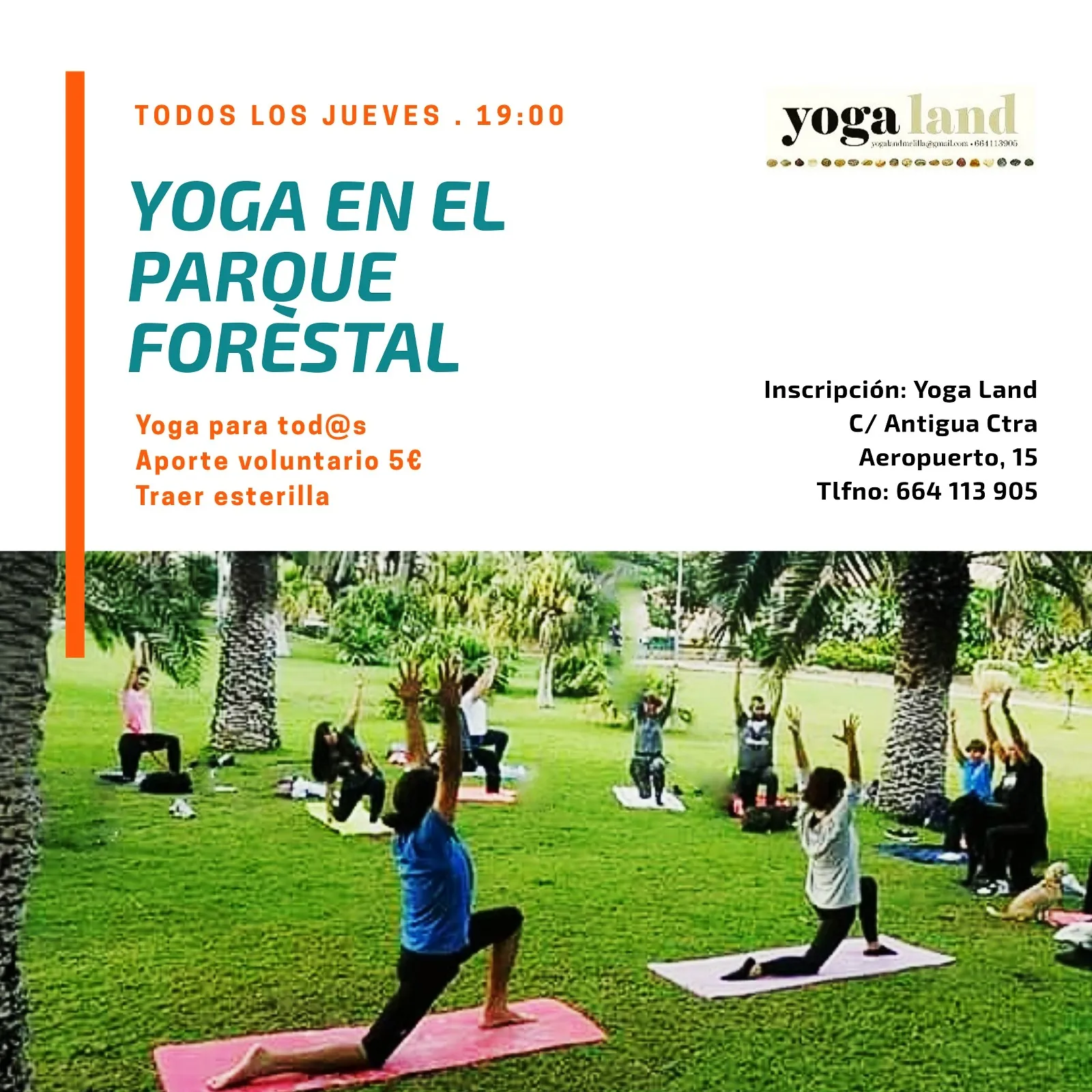 Yoga Land — yoga-studio en Melilla — 5