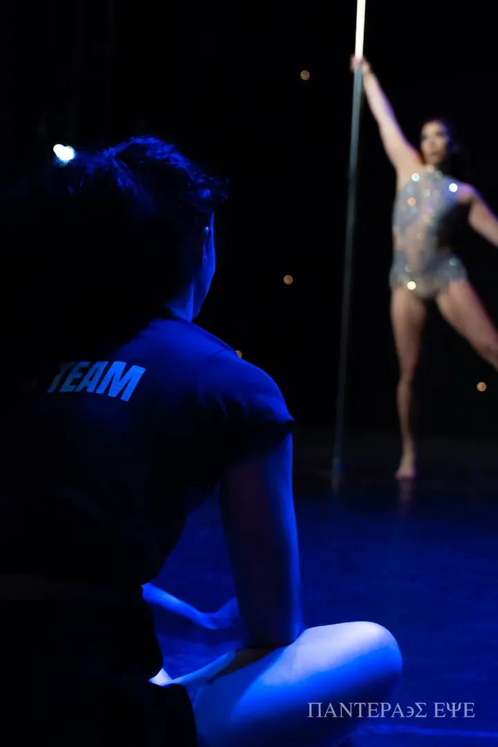 Artemis Pole Studio — Pole Fitness in Strand-on-the-Green, London