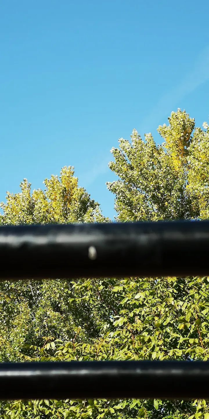 Calisthenics Park — calisthenics-studio in Berlin — 4