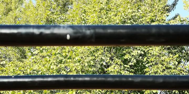 Calisthenics Park — calisthenics-studio in Berlin — 5