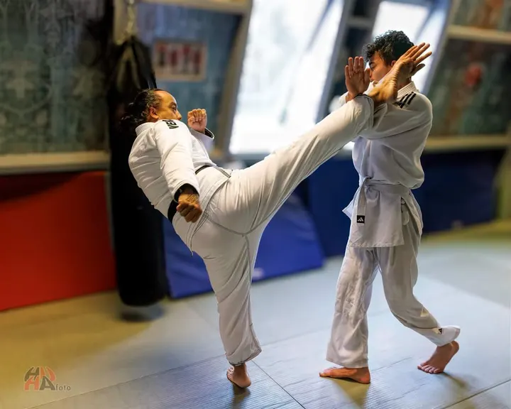 Sarkol Fighting — mma-studio in Helmond — 5
