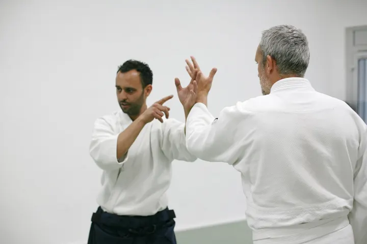 Aikido Ouka-Jyuku Darmstadt e.V. — kampfsport-studio in Darmstadt-Mitte, Darmstadt — 2