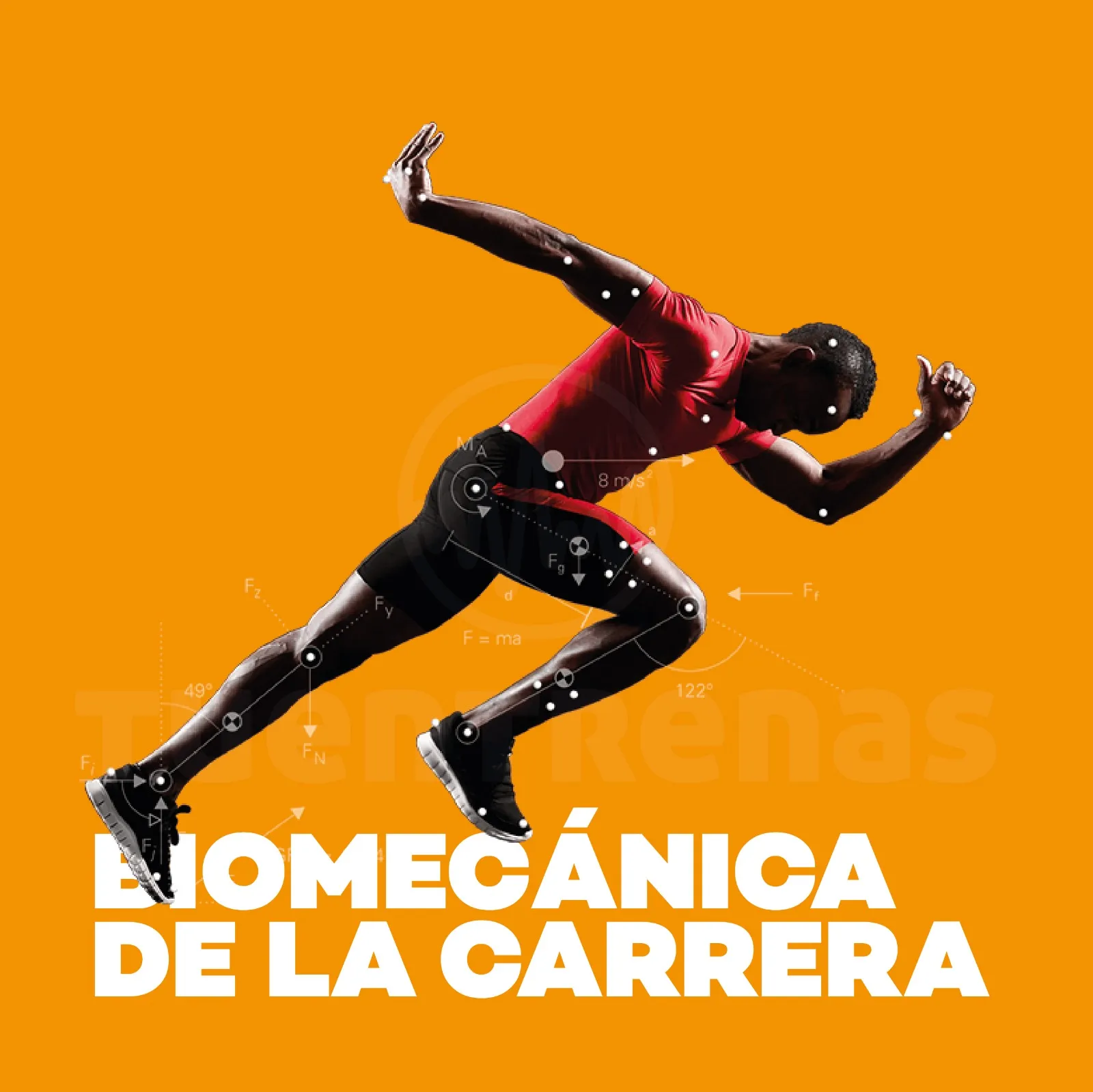 Tuentrenas Sport Center — entrenamiento personal-studio en La Línea de la Concepción — 5