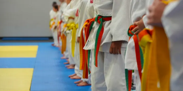 Escola de Judo Nuno Delgado - EJND Centro E. B. 2+3 de Telheiras nº 1 — artes marciais-studio em Prazeres, Lisboa — 3