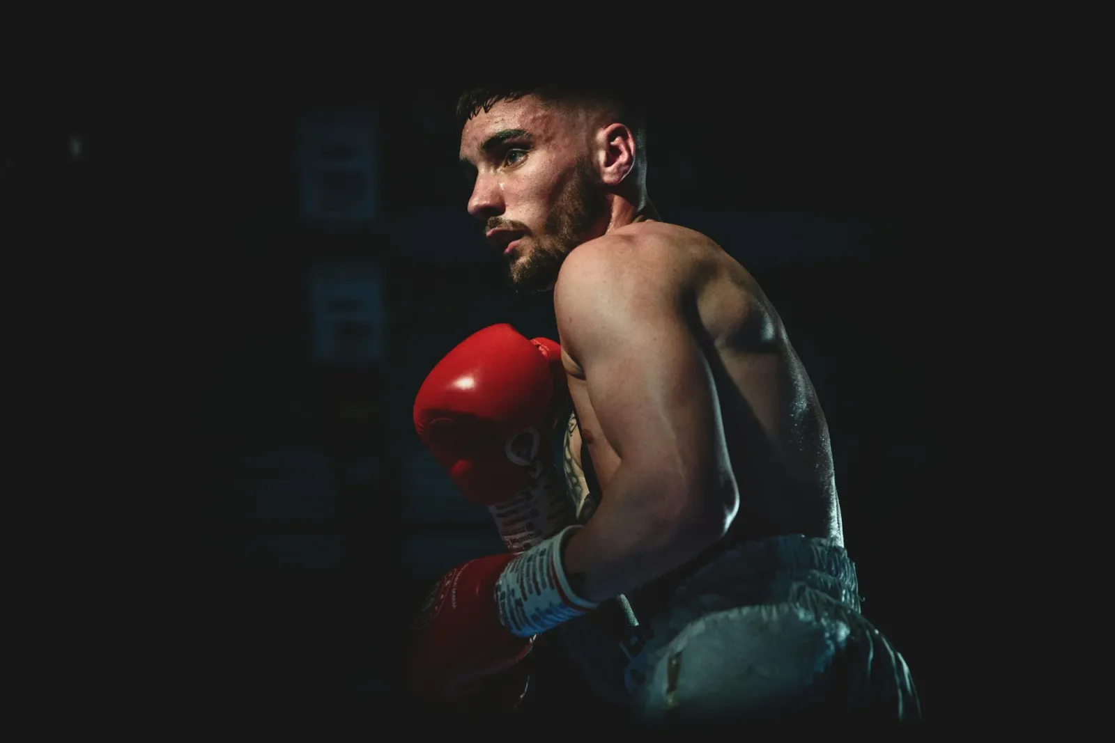 Phoenix Boxing — kampsport-studio i Nürnberg — 5