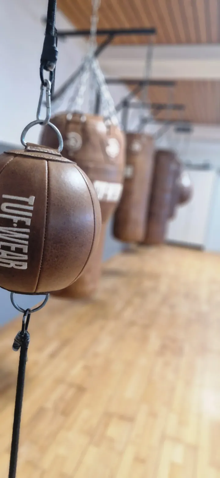 Phoenix Boxing — Martial Arts in Schniegling, Nürnberg