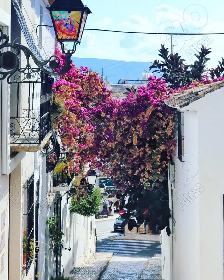 Yoga Breaks in Spain — yoga-studio en Altea — 4