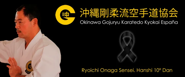 Fujioka Karate Club Alicante — martial arts-studio i El Castellar, Murcia