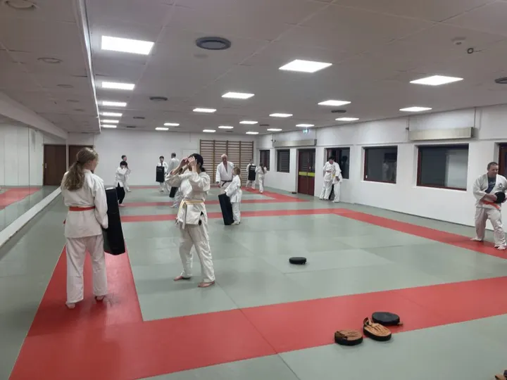 Yawara - Rødovre Jiu-Jitsu Klub — martial arts-studio i Rødovre, Rødovre