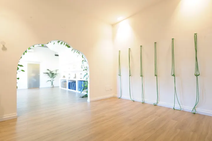 Insight Studio Bologna — Palestre a Osservanza, Bologna