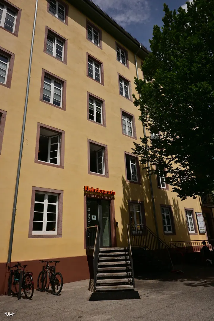 PURE Medical Fitness Boutique Studio — pt-studio in Lörrach — 4