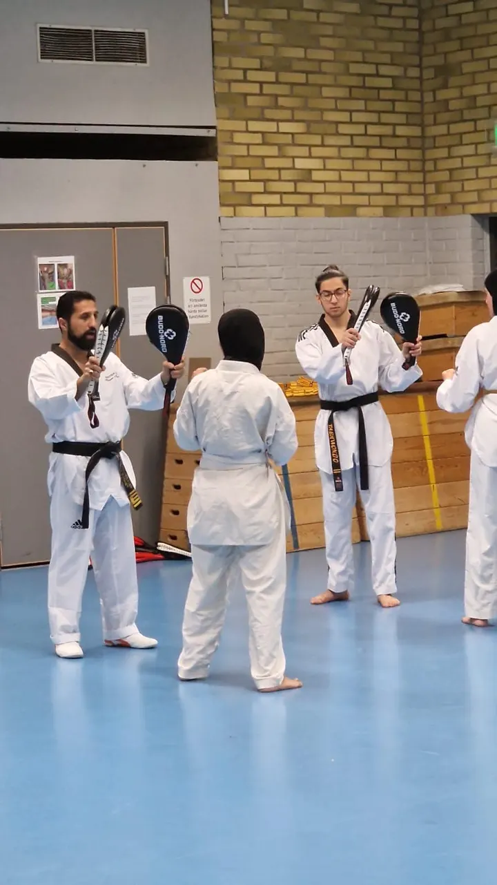 Phoenix akademi Center — kampsport-studio i Malmö — 4