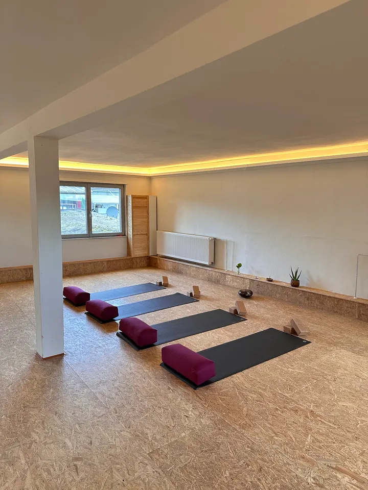 Yogawerkstatt Bonn — yoga-studio in Bad Godesberg, Bonn — 3