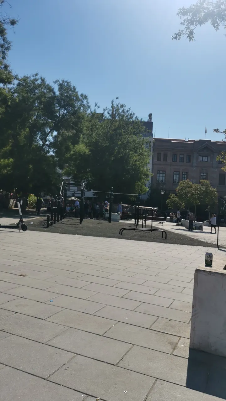 Calistenia & Street Workout Area — estudio de fitness-studio en Madrid — 4