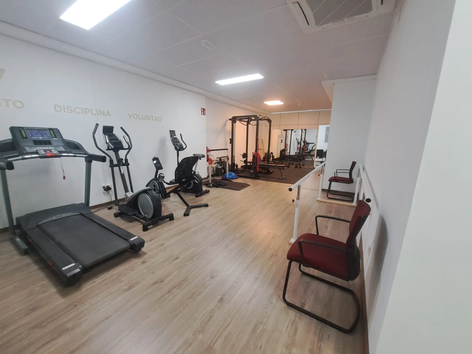 Entrenador Personal Las Palmas — entrenamiento personal-studio en Lugo, Las Palmas de Gran Canaria — 2