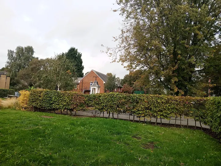 Sutton Bonington UON - Climbing Wall — climbing-studio in Loughborough — 4
